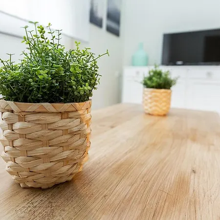 Monko - 1 Line, & Sun Torremolinos