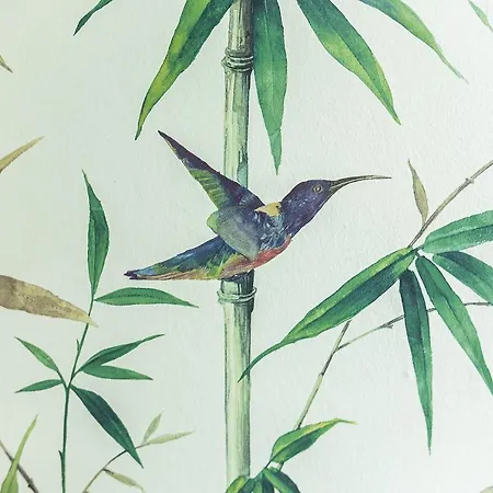 Monko - 1 Line, & Sun