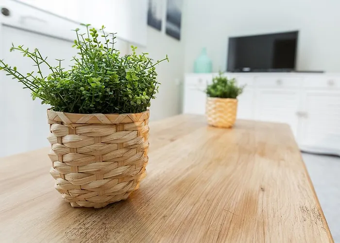 Monko - 1 Line, & Sun Torremolinos